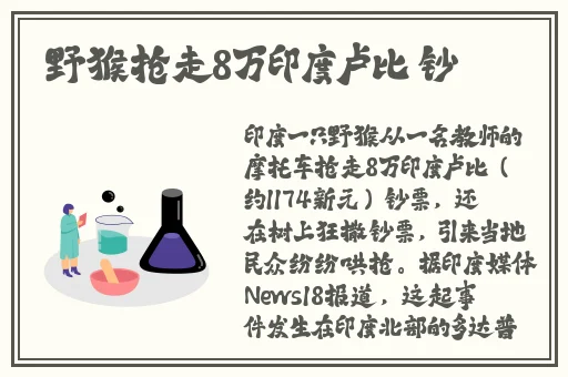 优衣库种子